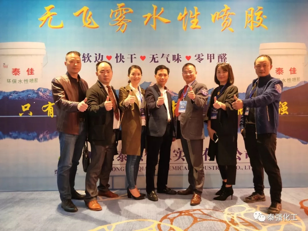 泰強化工受邀出席廣東湘楚川家居商會聯(lián)盟盛典暨2018迎春聯(lián)歡晚會(圖8)